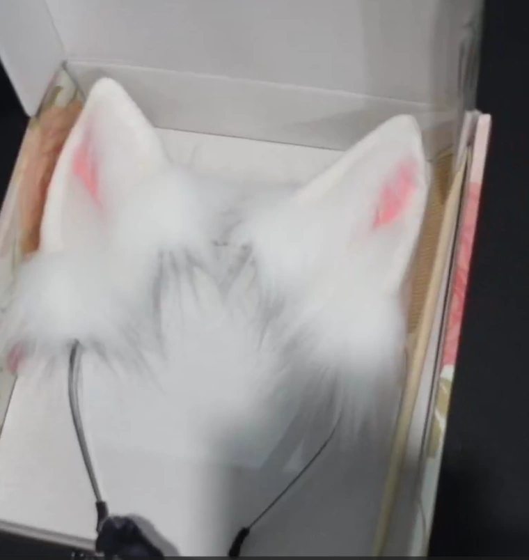 a pair of white cat ears